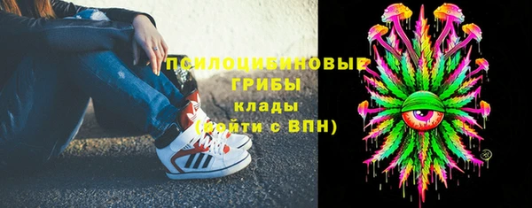 прущие крисы Козловка